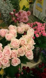 もうすぐ12月｜「フラワーハウス　まえだ」　（北海道函館市の花キューピット加盟店 花屋）のブログ