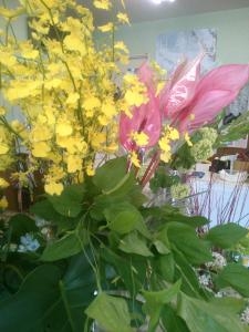 新芽の季節。。｜「フラワーハウス　まえだ」　（北海道函館市の花キューピット加盟店 花屋）のブログ