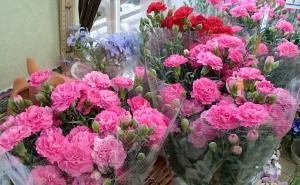 母の日ウィーク前です｜「フラワーハウス　まえだ」　（北海道函館市の花キューピット加盟店 花屋）のブログ